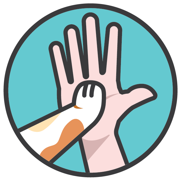 MyFriend – Your Online Pet Shop | Get 10% Cashback on All Orders