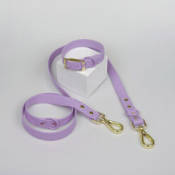 สีม่วง ปอกคอหมา ปอกคอแมว สายจูงหมา สายจูงแมว ลาเวนเดอร์