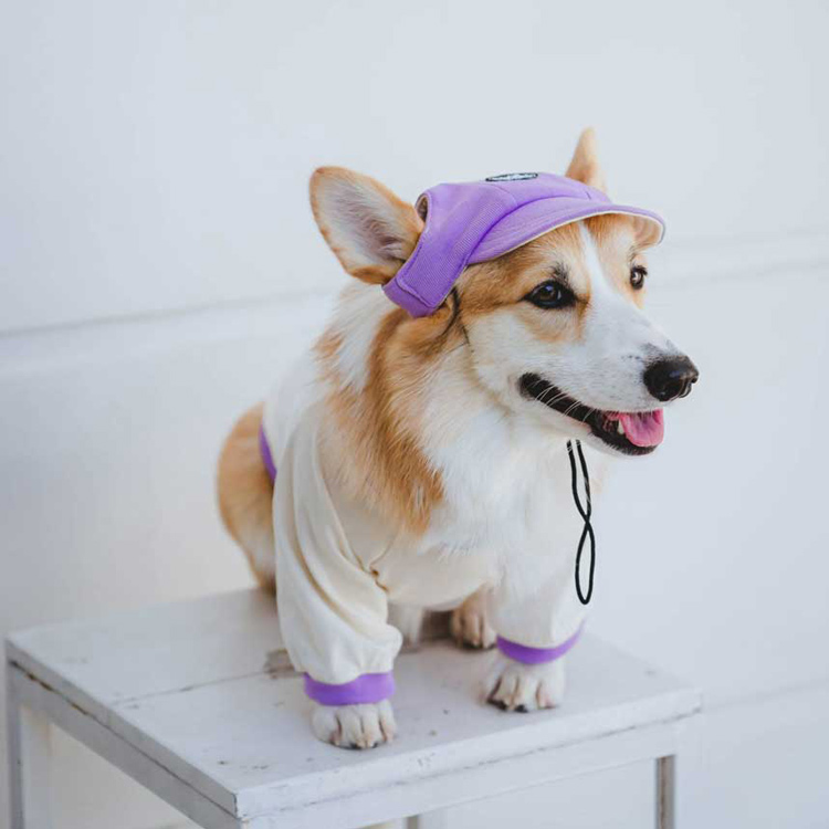 Cool-Kit-hat_-Purple