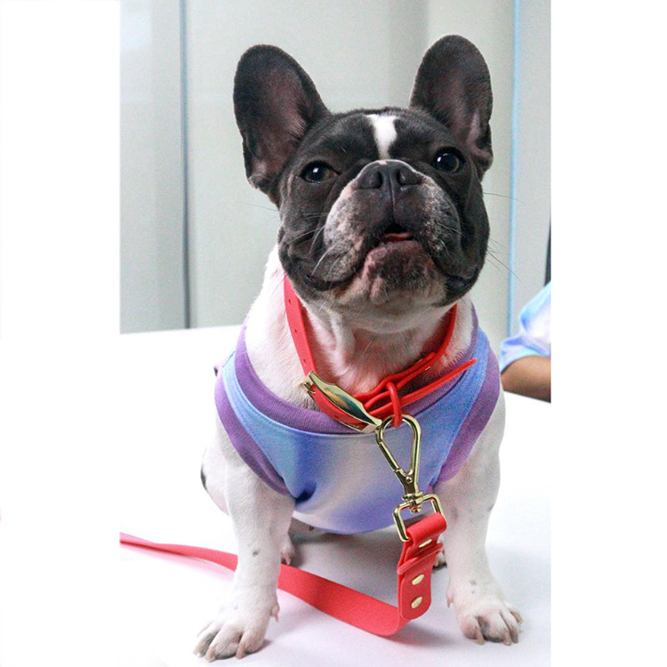 PVC-Collar-and-Lease-set-4_-Flamango