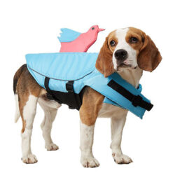 dog swimming suit bee เสื้อชูชีพสำหรับหมา Bird นก