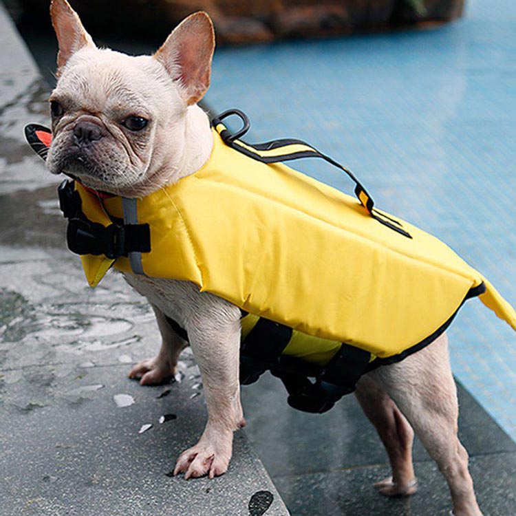 SLF-08-01 dog swimming suit bee เสื้อชูชีพสำหรับหมา Duck
เป็ด