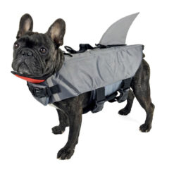 dog swimming suit bee เสื้อชูชีพสำหรับหมา shark ฉลาม
