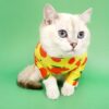ชุดกันขนร่วง ลายส้ม bodysuit for pets