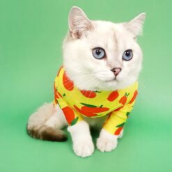 ชุดกันขนร่วง ลายส้ม bodysuit for pets