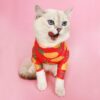 ชุดกันขนร่วง สับปะรด pineapple jumpsuit bodysuit for pets