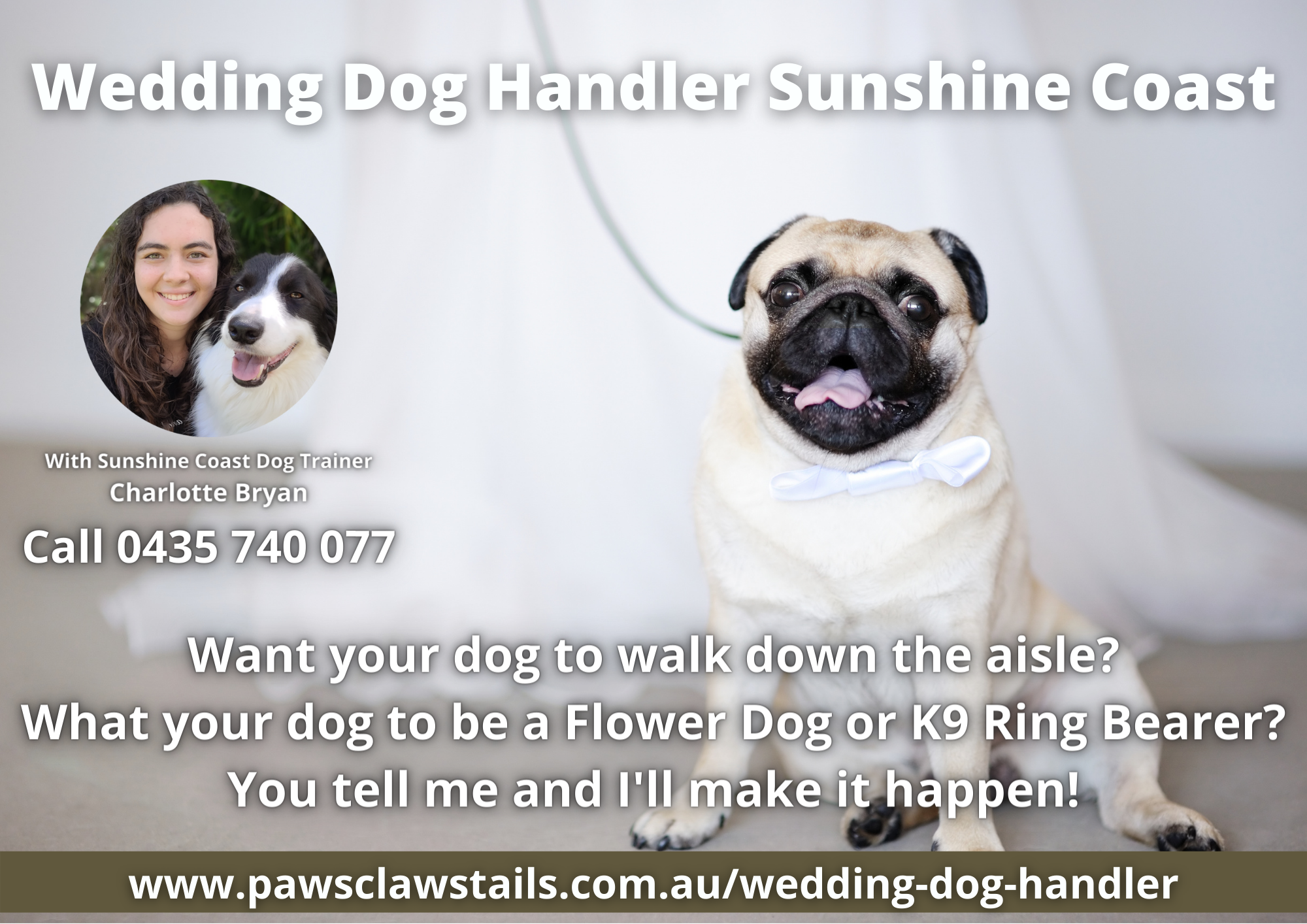 Sunshine Coast Dog Handler For Wedding