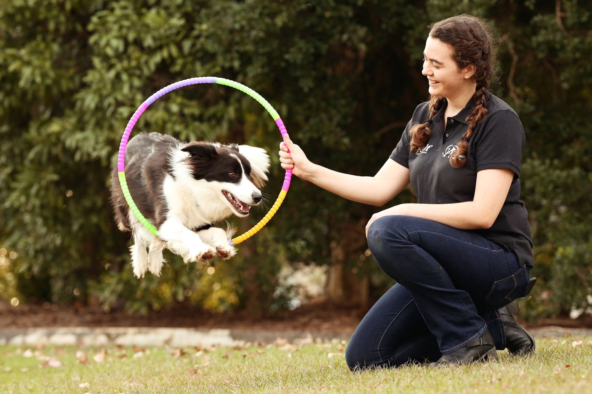 Dog Trick Classes Sunshine Coast
