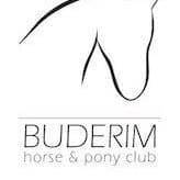 Buderim Horse & Pony Club